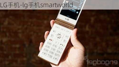 LG手机-lg手机smartworld