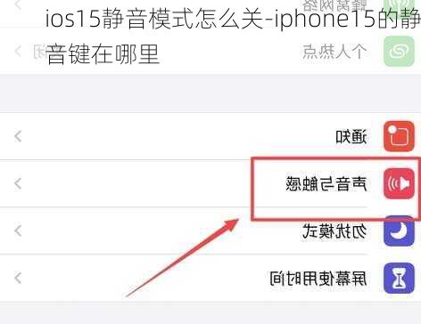 ios15静音模式怎么关-iphone15的静音键在哪里