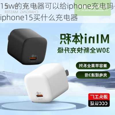 15w的充电器可以给iphone充电吗-iphone15买什么充电器