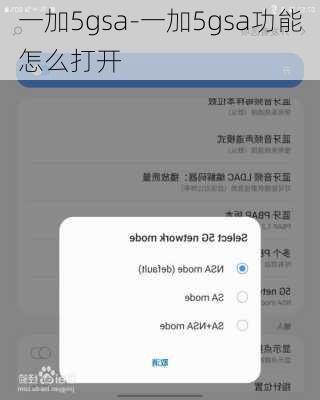 一加5gsa-一加5gsa功能怎么打开