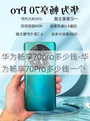 华为畅享70pro多少钱-华为畅享70Pro多少钱一个