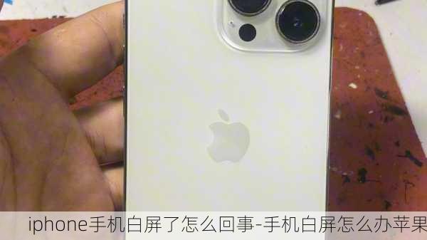 iphone手机白屏了怎么回事-手机白屏怎么办苹果