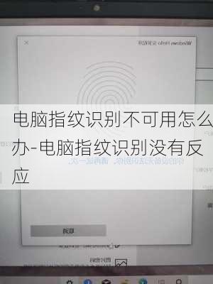 电脑指纹识别不可用怎么办-电脑指纹识别没有反应