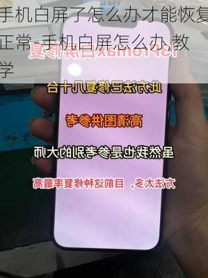 手机白屏了怎么办才能恢复正常-手机白屏怎么办,教学