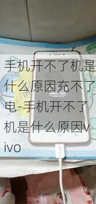 手机开不了机是什么原因充不了电-手机开不了机是什么原因vivo