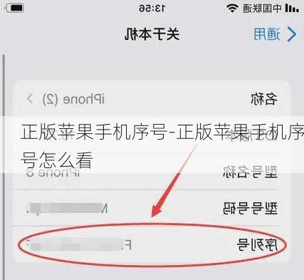 正版苹果手机序号-正版苹果手机序号怎么看