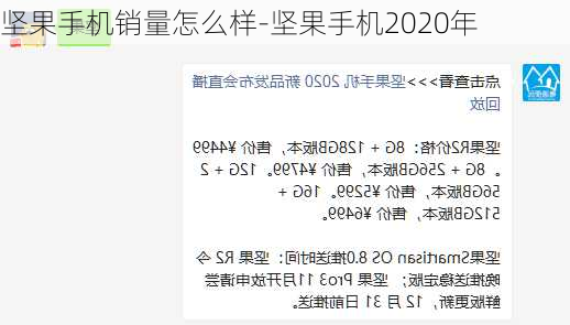 坚果手机销量怎么样-坚果手机2020年