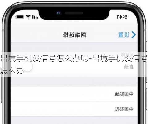 出境手机没信号怎么办呢-出境手机没信号怎么办