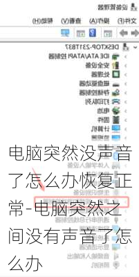 电脑突然没声音了怎么办恢复正常-电脑突然之间没有声音了怎么办