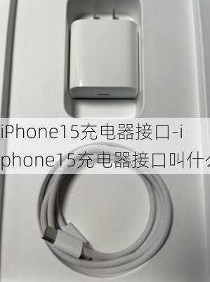 iPhone15充电器接口-iphone15充电器接口叫什么