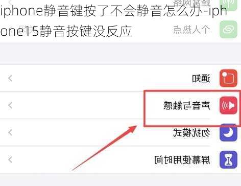 iphone静音键按了不会静音怎么办-iphone15静音按键没反应