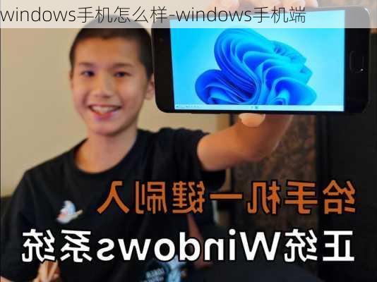 windows手机怎么样-windows手机端