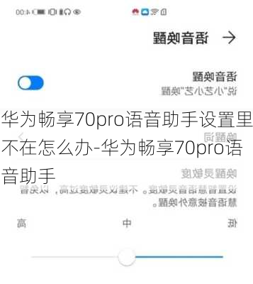 华为畅享70pro语音助手设置里不在怎么办-华为畅享70pro语音助手