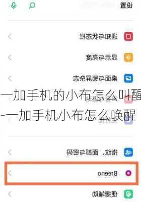 一加手机的小布怎么叫醒-一加手机小布怎么唤醒