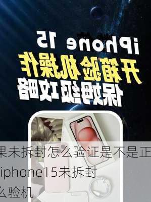 苹果未拆封怎么验证是不是正品-iphone15未拆封怎么验机