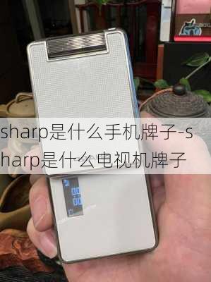 sharp是什么手机牌子-sharp是什么电视机牌子