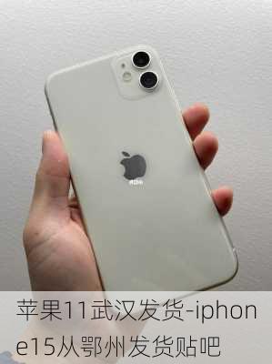 苹果11武汉发货-iphone15从鄂州发货贴吧