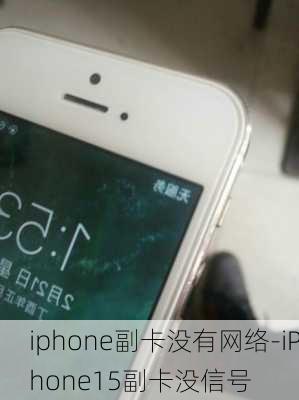 iphone副卡没有网络-iPhone15副卡没信号