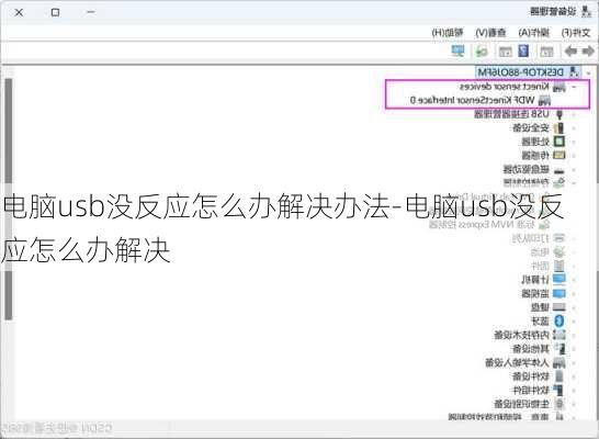电脑usb没反应怎么办解决办法-电脑usb没反应怎么办解决