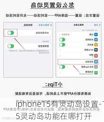 iphone15有灵动岛设置-15灵动岛功能在哪打开