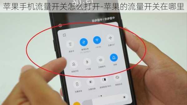 苹果手机流量开关怎么打开-苹果的流量开关在哪里