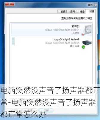 电脑突然没声音了扬声器都正常-电脑突然没声音了扬声器都正常怎么办