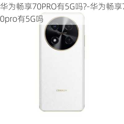 华为畅享70PRO有5G吗?-华为畅享70pro有5G吗