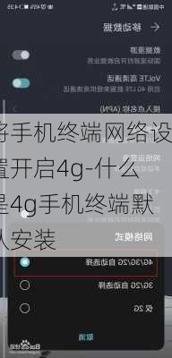 将手机终端网络设置开启4g-什么是4g手机终端默认安装