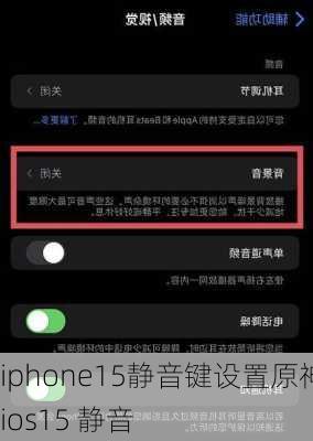 iphone15静音键设置原神-ios15 静音