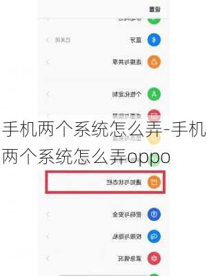 手机两个系统怎么弄-手机两个系统怎么弄oppo