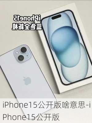 iPhone15公开版啥意思-iPhone15公开版