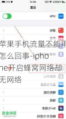 苹果手机流量不能用怎么回事-iphone开启蜂窝网络却无网络