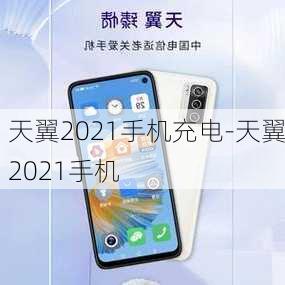 天翼2021手机充电-天翼2021手机