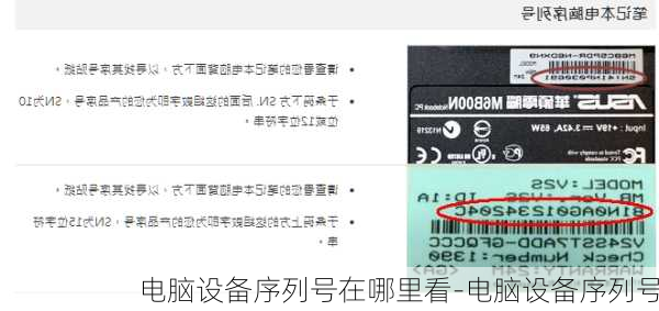 电脑设备序列号在哪里看-电脑设备序列号