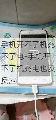 手机开不了机充不了电-手机开不了机充电也没反应