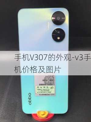 手机V307的外观-v3手机价格及图片