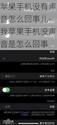 苹果手机没有声音怎么回事儿-我苹果手机没声音是怎么回事