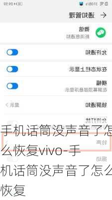 手机话筒没声音了怎么恢复vivo-手机话筒没声音了怎么恢复