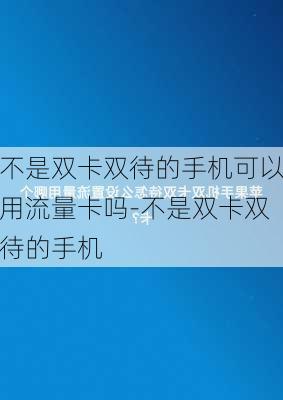 不是双卡双待的手机可以用流量卡吗-不是双卡双待的手机