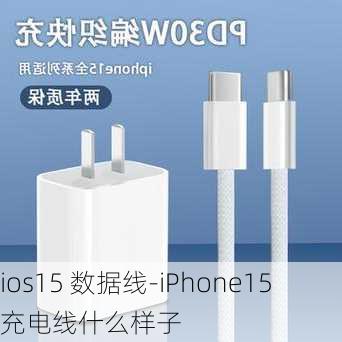 ios15 数据线-iPhone15充电线什么样子