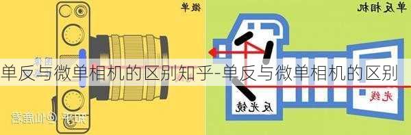 单反与微单相机的区别知乎-单反与微单相机的区别