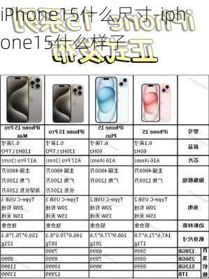 iPhone15什么尺寸-iphone15什么样子