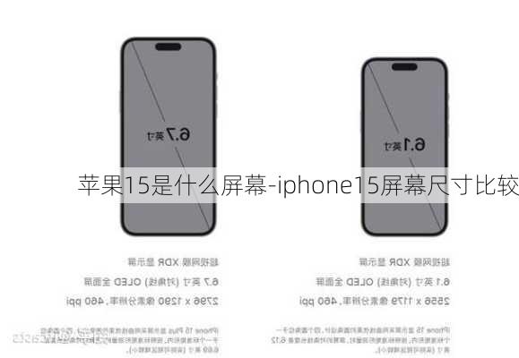 苹果15是什么屏幕-iphone15屏幕尺寸比较