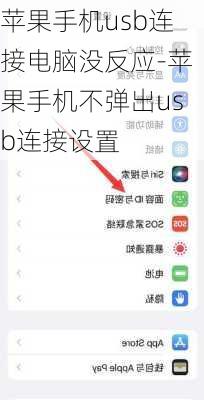 苹果手机usb连接电脑没反应-苹果手机不弹出usb连接设置