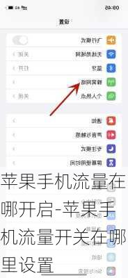 苹果手机流量在哪开启-苹果手机流量开关在哪里设置