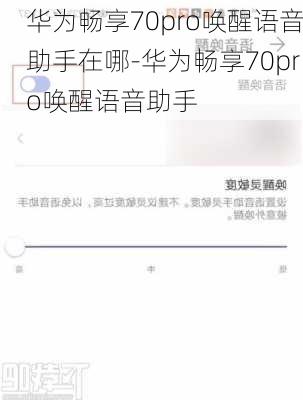 华为畅享70pro唤醒语音助手在哪-华为畅享70pro唤醒语音助手