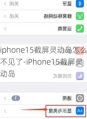 iphone15截屏灵动岛怎么不见了-iPhone15截屏灵动岛