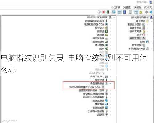 电脑指纹识别失灵-电脑指纹识别不可用怎么办