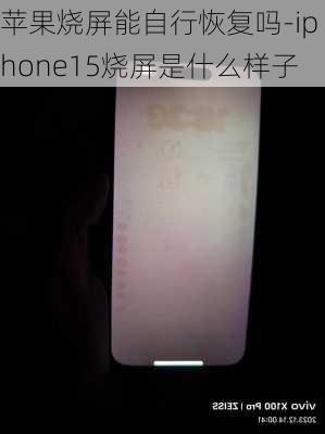 苹果烧屏能自行恢复吗-iphone15烧屏是什么样子