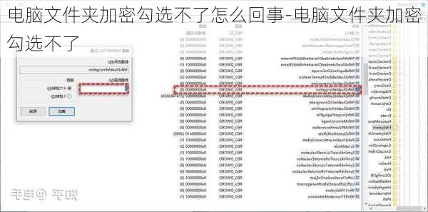 电脑文件夹加密勾选不了怎么回事-电脑文件夹加密勾选不了